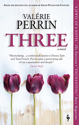 Three -- Valérie Perrin, Paperback