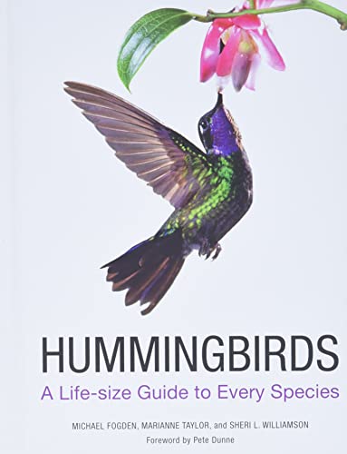 Hummingbirds: A Life-Size Guide to Every Species by Fogden, Michael