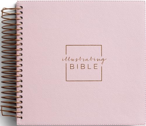 Illustrating Bible NIV Pink by Dayspring