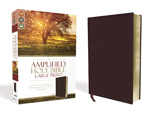 Amplified Bible-Am-Large Print: Captures the Full Meaning Behind the Original Greek and Hebrew -- Zondervan, Bible