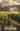Between the Vines: A Small Town Romance by Elena, Grace