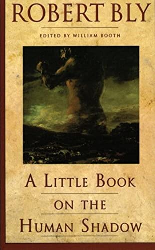 A Little Book on the Human Shadow by Bly, Robert
