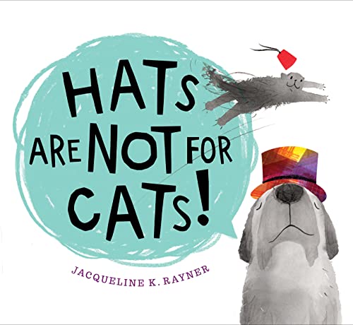 Hats Are Not for Cats! -- Jacqueline K. Rayner, Board Book