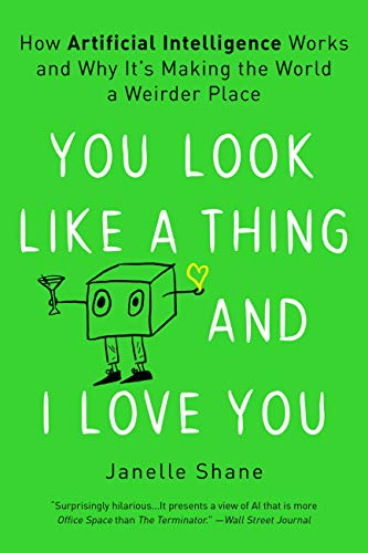 You Look Like a Thing and I Love You: How Artificial Intelligence Works and Why It's Making the World a Weirder Place -- Janelle Shane, Paperback