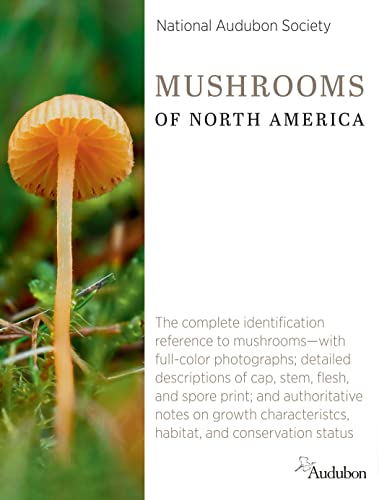 National Audubon Society Mushrooms of North America -- National Audubon Society, Hardcover