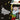 Dr. John: The Montreux Years, Dr. John, LP