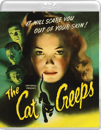 Cat Creeps