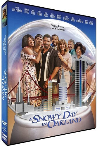 Snowy Day In Oakland -- DVD