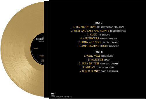 Tribute To Sisters Of Mercy / Various, Tribute To Sisters Of Mercy / Various, LP