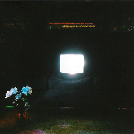 Does It Look Like I'm Here? - Ectoplasm, Emeralds, LP