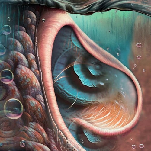 Meddle Reimagined - A Tribute To Pink Floyd / Var