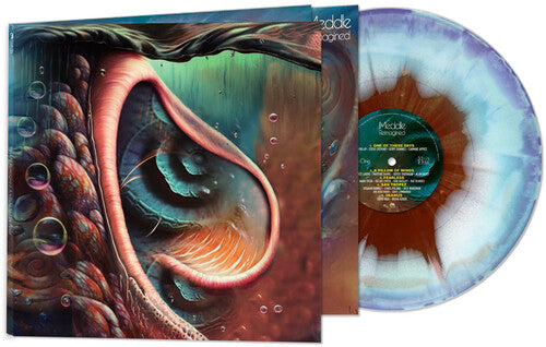 Meddle Reimagined: A Tribute To Pink Floyd / Var, Meddle Reimagined: A Tribute To Pink Floyd / Var, LP