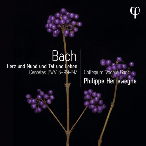 Erz Und Mund Und Tat Und Leben - Cantatas, Bwv