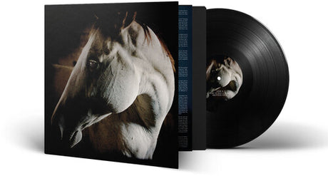 How To Kill A Horse, Brother Dege, LP