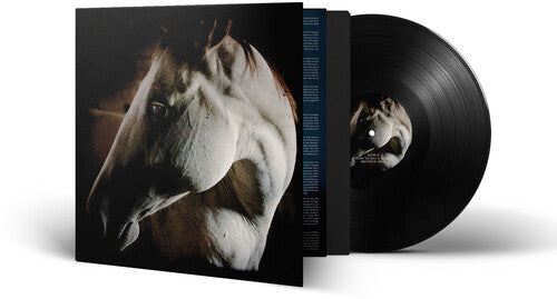 How To Kill A Horse, Brother Dege, LP