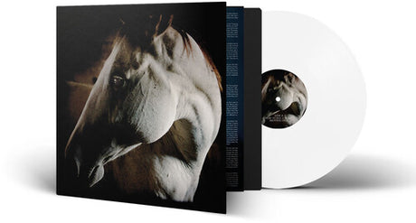 How To Kill A Horse, Brother Dege, LP