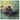 Discovering The Waterfront, Silverstein, LP