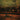 Time Fades Away (50Th Anniversary Edition)