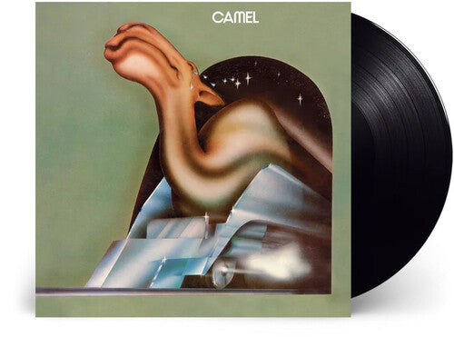 Camel