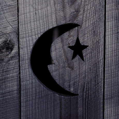 Farmhouse (Stars So Bright), Phish, LP