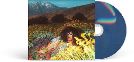 What Now, Brittany Howard, CD