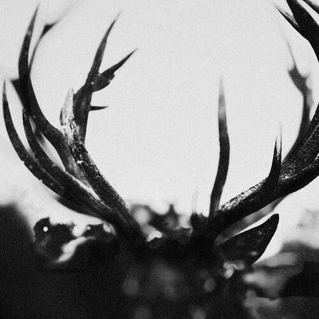 Ihsahn - Black Yolk, Ihsahn, LP