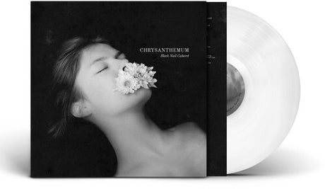 Chrysanthemum - Solid White, Black Nail Cabaret, LP