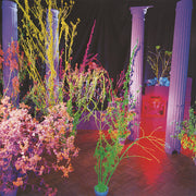 Warehouse: Songs & Stories