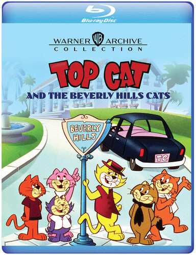 Top Cat & The Beverly Hills Cats