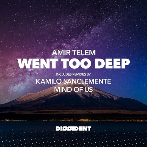 Went Too Deep -- Amir Telem, CD
