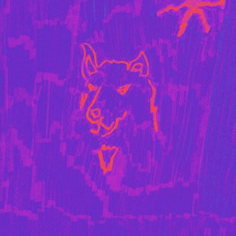 Poetry, Dehd, CD