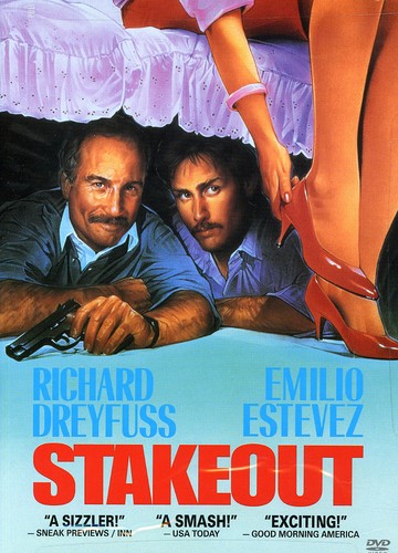 Stakeout, Stakeout, DVD