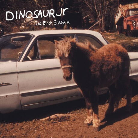 Black Session: Live In Paris 1993, Dinosaur Jr., LP