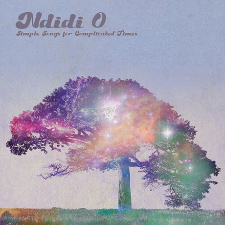 Simple Songs For Complicated Times, Ndidi O, CD
