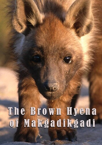 Brown Hyena Of Makgadikgadi, Brown Hyena Of Makgadikgadi, DVD