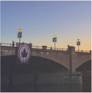 Fifteen Years - Yellow