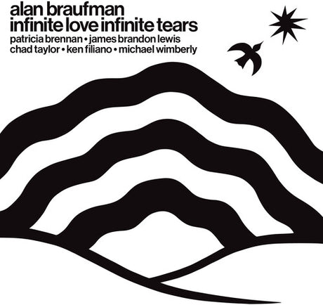 Infinite Love Infinite Tears, Alan Braufman, CD