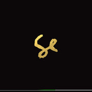 Sylvan Esso - 10 Year Anniversary Edition