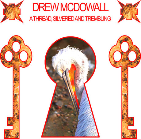 Thread Silvered & Trembling, Drew Mcdowall, LP