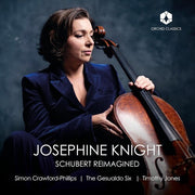 Schubert Reimagined