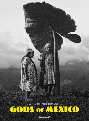 Gods Of Mexico, Gods Of Mexico, DVD