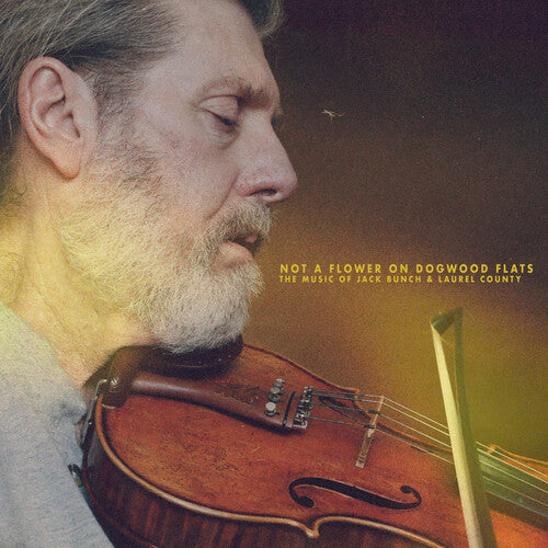 Not A Flower On Dogwood Flats: Music Of Jack Bunch