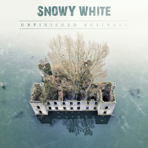 Unfinished Business, Snowy White, LP