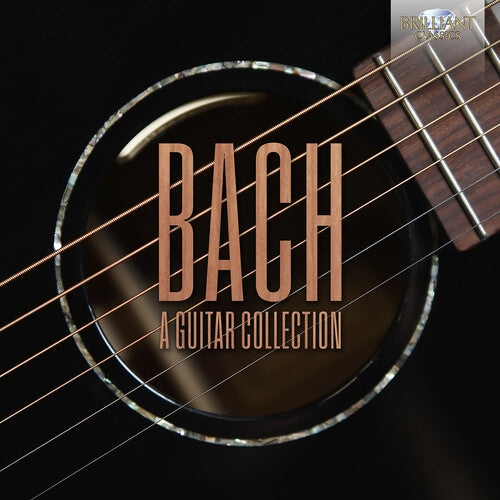 Guitar Collection
