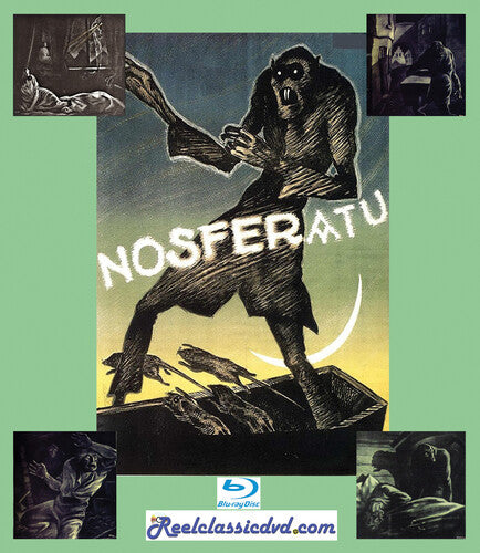 Nosferatu And Terror Of Dracula