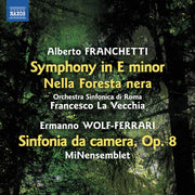 Symphony In E Minor Nella Foresta Nera