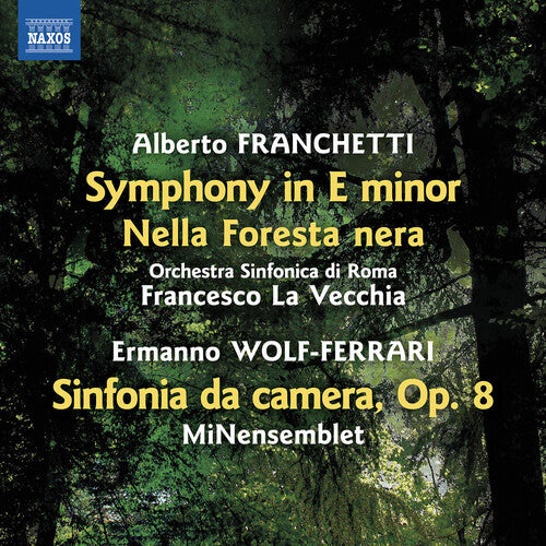 Symphony In E Minor Nella Foresta Nera