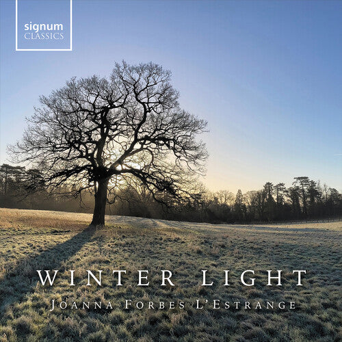 Winter Light