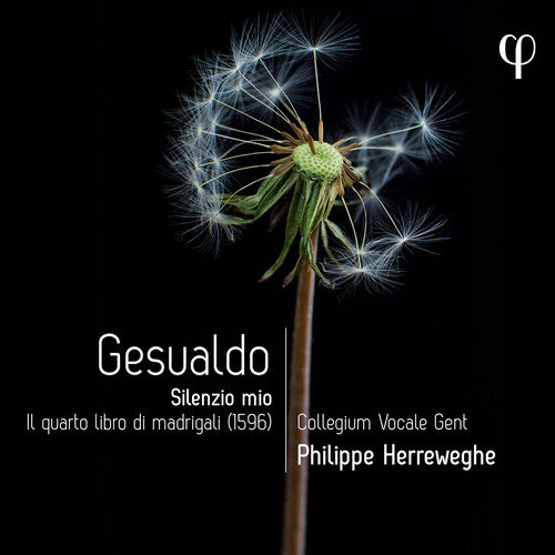 Silenzio Mio - Il Quarto Libro Di Madrigali