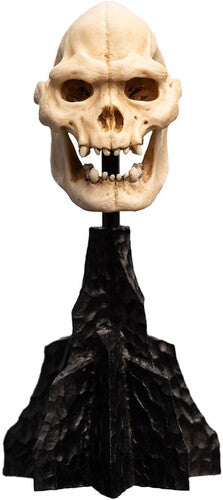 Lotr - Skull Of Lurtz Polystone Statue, Open Edition Polystone, Collectibles